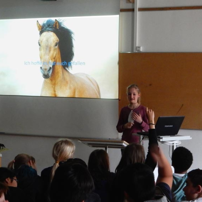 Expertenarbeiten Werbellinsee Grundschule